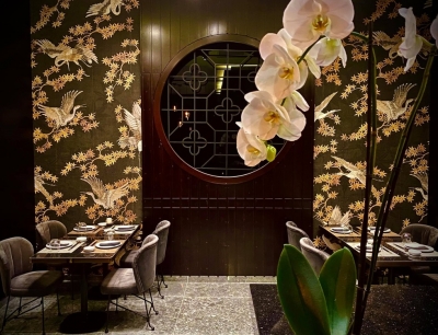 CANTON GRENOBLE 02_img