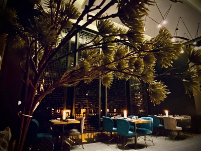 CANTON GRENOBLE 09_img